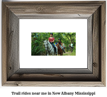 trail rides near me in New Albany, Mississippi